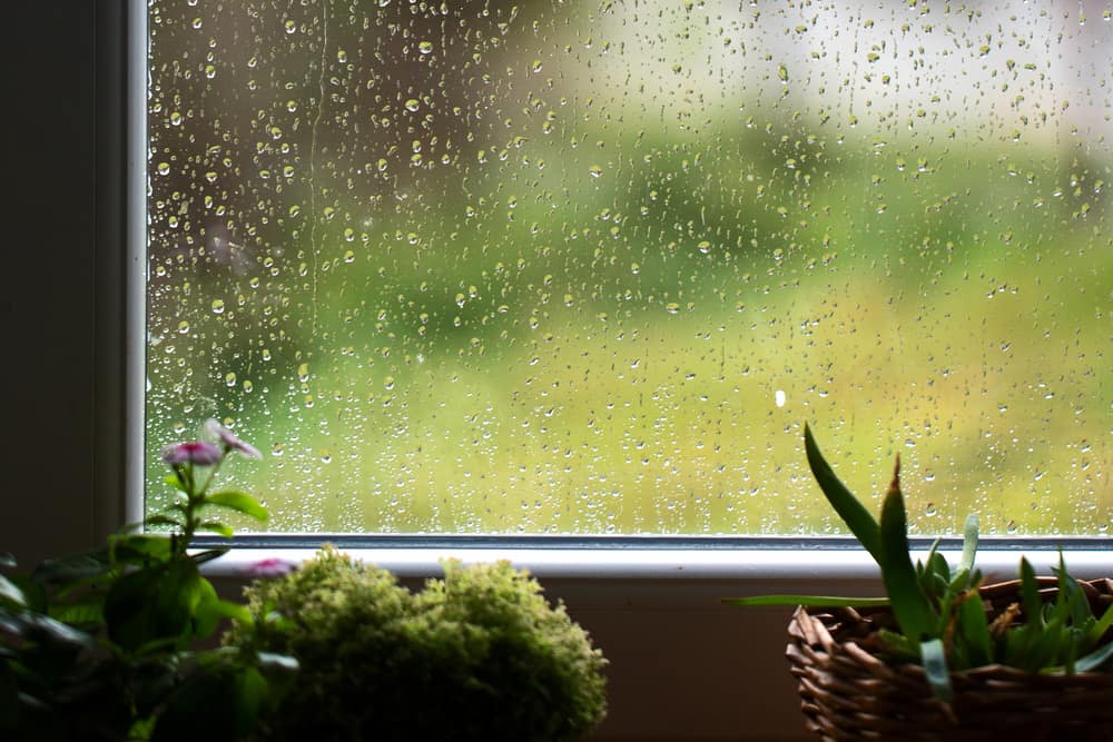 10 Weak Points From Rain In Your Home And How To Fix Them